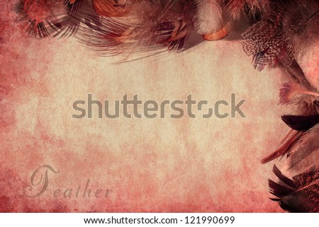 Frame of feathers on the old paper background