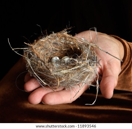 Detailed macro shot of bird\'s nest with tiny white eggs in a woman\'s outstretched hand