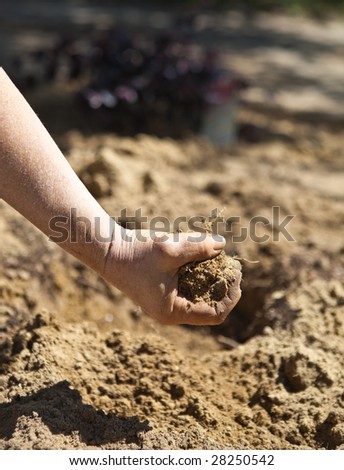 Closeup of woman\'s hand holding a fistful of dirt while working in her just dug garden