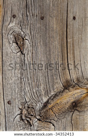 An old slab of wood full of texture, knot holes and a few old rusty handmade nails. Good for background or texture.