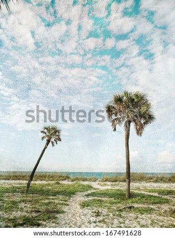Palm trees and blue skies on a vintage-styled textured paper \