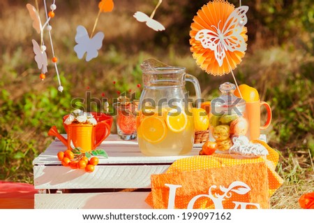Decorated picnic with oranges and lemonade in the summer garden