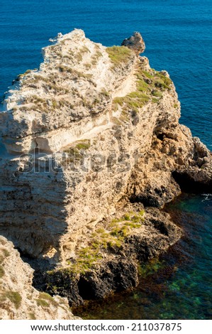 Ocean and sea cliffs in the summer