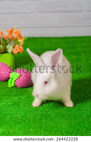 white rabbit on the grass with flowers and a basket with Easter eggs