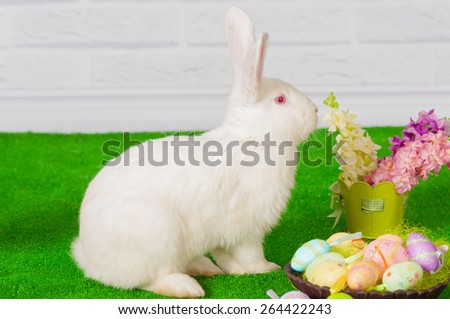 white rabbit on the grass with flowers and a basket with Easter eggs