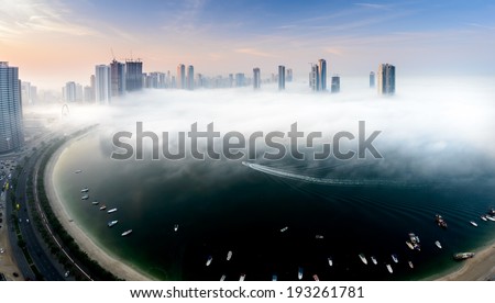 Amazing morning when you see the fog invading the city.