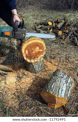 man cutting tree with electric saw