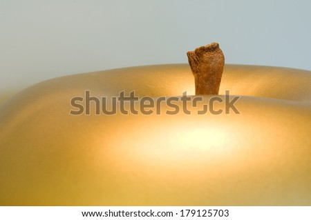Detail of a design object: golden apple with a wooden stem