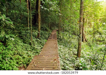 Taman Negara National Park. Malaysia