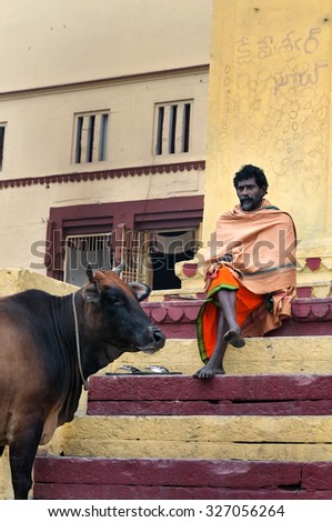VARANASI, INDIA - DEC 23, 2014: Unidentified Indian Sadhu with the sacred cow on the steps of the Kshameshwar Ghat in Varanasi. Uttar Pradesh, India