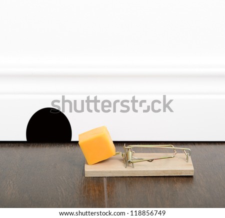 Mousetrap set with cheddar cheese on a floor, next to a mouse hole.