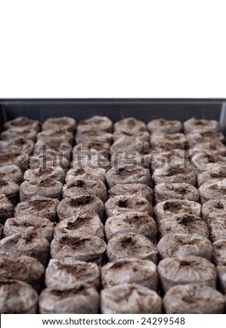 A tray of peat moss mounds for starting seeds inside