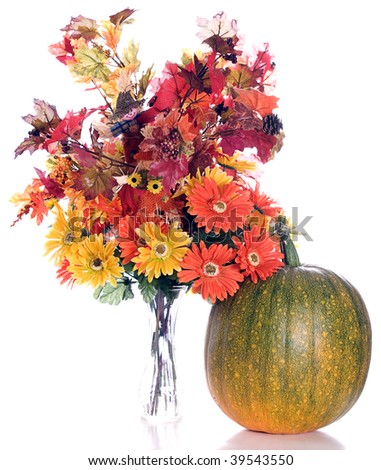 Artificial fall flowers and leaves shot next to a real pumpkin that is slowly turning orange, isolated against a white background