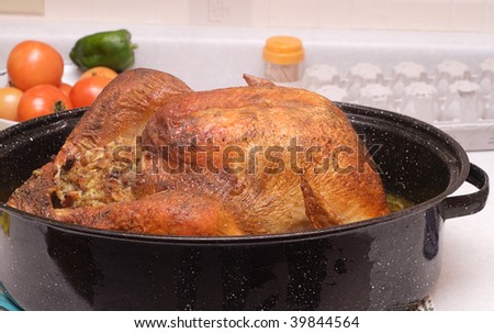 A large cooked turkey sitting in a roaster, on a kitchen counter