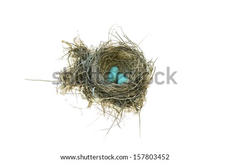 Robins nest with 4 eggs in it. Isolated on a white background