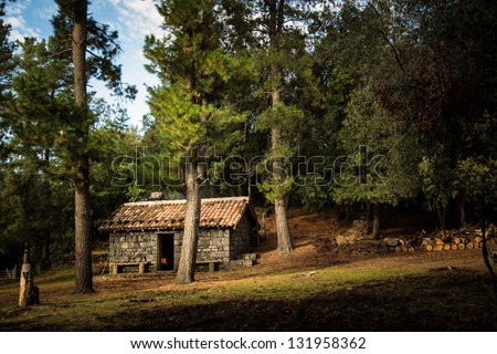 Cabin in the woods - Beautiful peaceful cabin with fireplace in the woods.