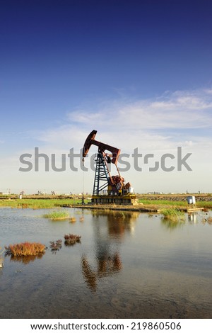 South excrementum bombycis mouth, oil pump, taken in the luanhe river in the north of China