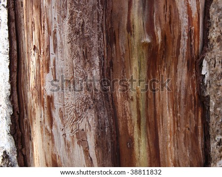 Wood Colors
