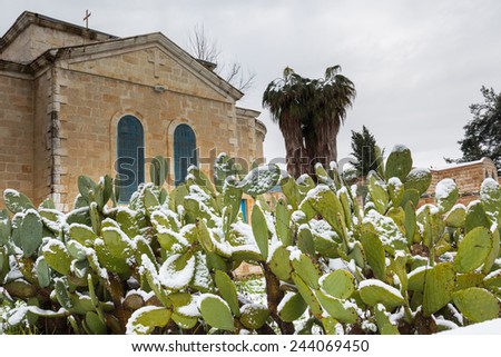 Cactus and old church building in Jerusalem covered snow. 2015.