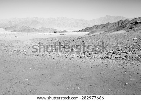 Black and white stone desert black mountains and tree, Negev desert, Israel.