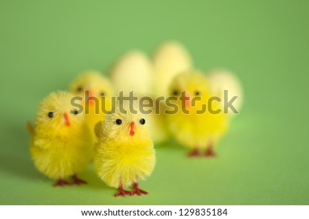Little yellow Easter chicks, with eggs. Shallow focus