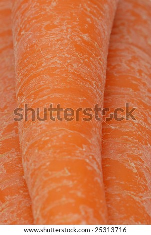 Macro photo of fresh organic carrots