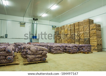 potato in storage house