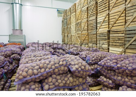 view on bags and crates of potato in storage house