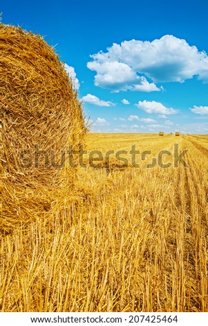 bales of straw on harvested wheat field bales of straw on harvested wheat field