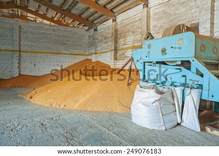 grain dryer and pile of wheat corns in old warehouse