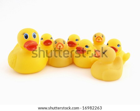 Rubber Duck Family