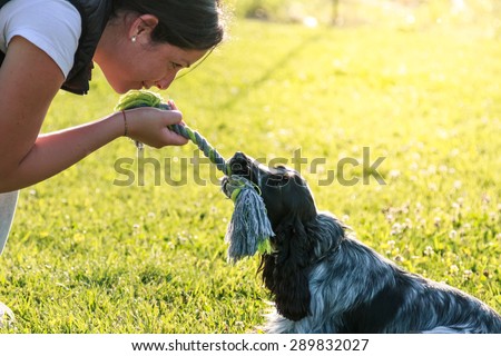 Young Adult female plays with her cute dog. English Cocker Spaniel puppy training