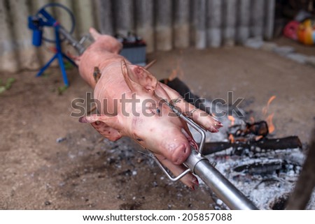 Spit roasted pig at a restaurant in Slovenia