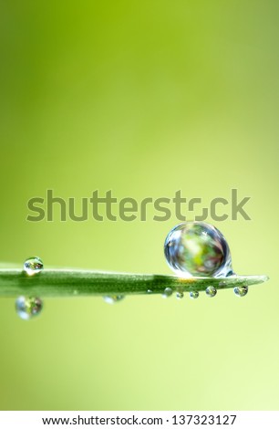 tiny drops of water on a single blade of grass