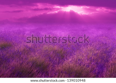 lilac lavender fields and sun through clouds in surreal strong pink and purple tones, soft and dreamy