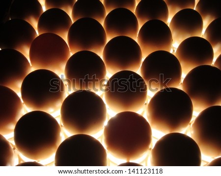 egg candling on hatchery farm to see which are fertilized. Many eggs in rows being illuminated from below