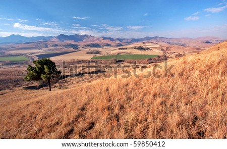 scenic view from mountain overlooking winter landscape in Drakensberg mountains in South Africa with cultivated farm fields and lone single pine tree
