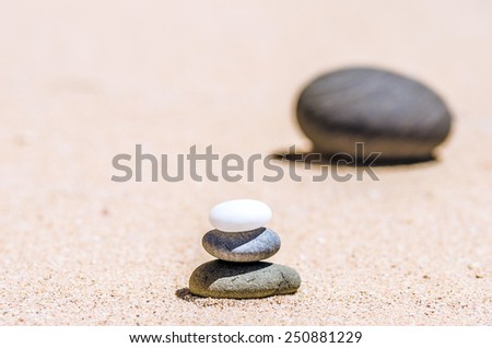 stones in the sand on the beach