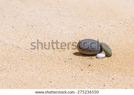 different stones in the brown sand on the beach