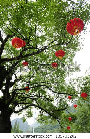 Chinese lamp on tree.