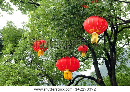 Chinese lamp on tree