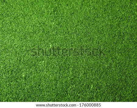 Green Grass Background. Top View