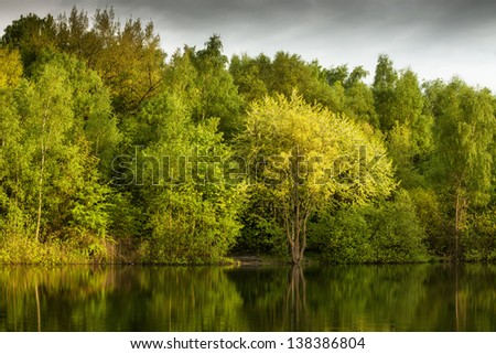 Trees reflected in water of green lake at dusk