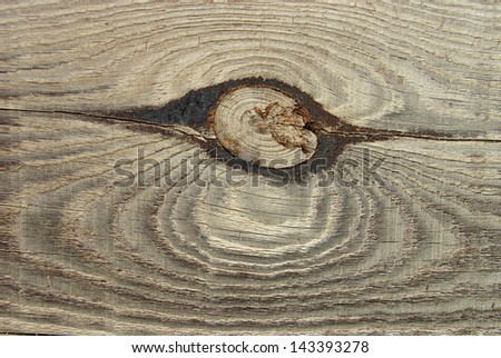 Texture of  wood panel brightly lit by  sun