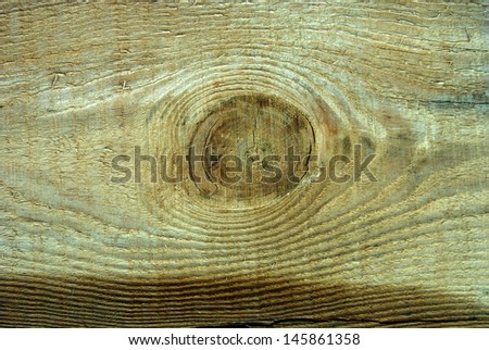 Texture of  wood panel brightly lit by  sun