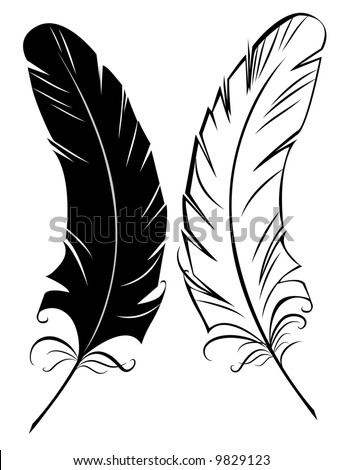 dark feathers