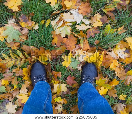 Feet on the leaves.