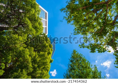 Street tree and Office Buildings