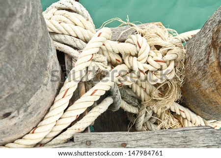 Knot rope and coconut trunk