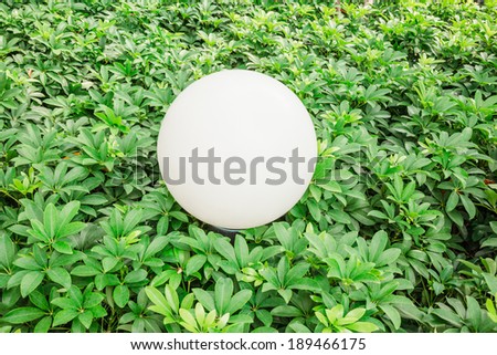 White sphere lamp in green plant garden